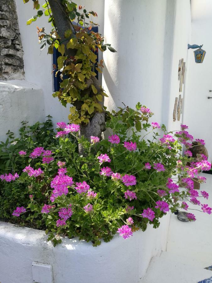 La Rosamarina Hotel Stromboli Bagian luar foto